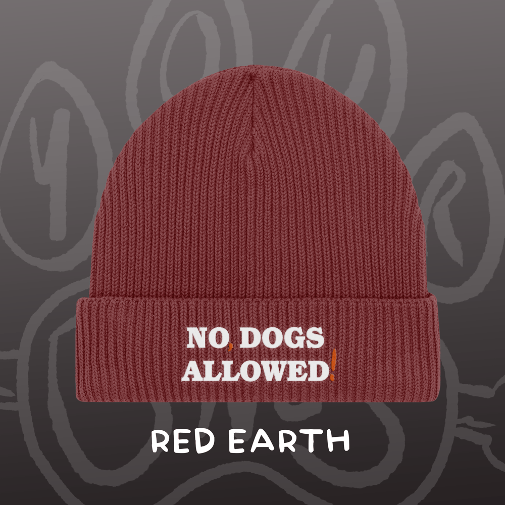 Image of NO, DOGS ALLOWED! - Fisherman Beanie