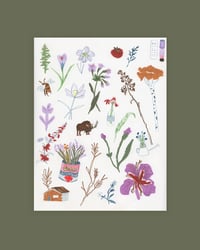 Image 1 of Northern Spring Print