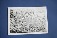 Image 2 of vie sous-marine /marine life