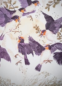 Image 3 of La bataille/ The fight 