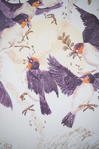 Image 4 of La bataille/ The fight 