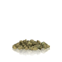 Image 4 of In-house - Bulk Exotic Smalls 1 pound 