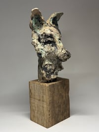 Image 1 of "Frankie"