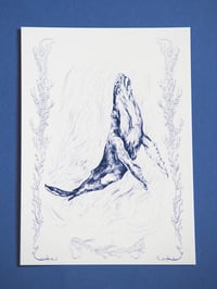 Image 1 of La baleine carte postale/The whale postcard