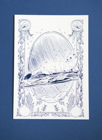 Image 1 of L'Hermine carte postale/The ermine postcard