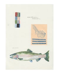 Image 1 of Northern Salmon