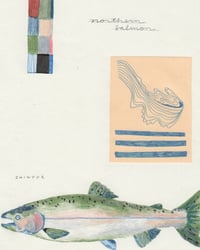 Image 2 of Northern Salmon