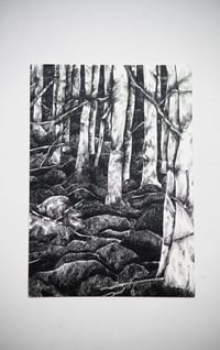 Image 1 of La Fôret/The Forest