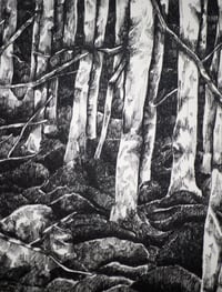 Image 3 of La Fôret/The Forest