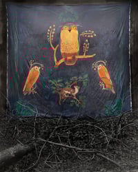 Image 21 of PERSEPHONE Limited Edition Collection of Photographs