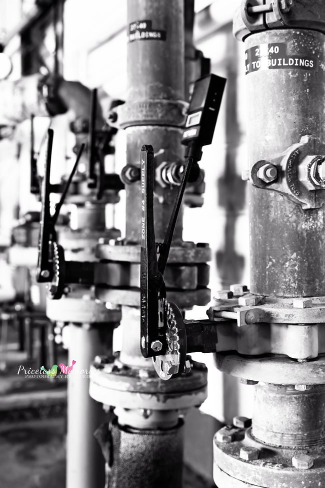 2026 Branding Special 