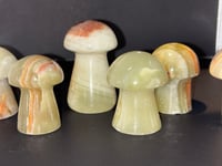 Image 1 of Green Onyx mushrooms