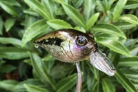 Image 10 of Custom Airbrushed Crankbait 786