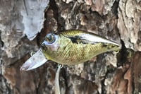 Image 13 of Custom Airbrushed Crankbait 786