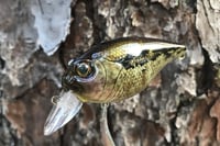 Image 14 of Custom Airbrushed Crankbait 786