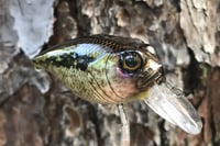Image 16 of Custom Airbrushed Crankbait 786