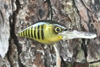 Image 12 of SPEEDBAITS Custom Airbrushed LC 1.5 DD 7296