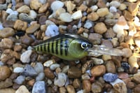 Image 4 of SPEEDBAITS Custom Airbrushed LC 1.5 DD 7296