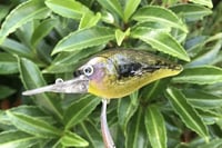 Image 10 of SPEEDBAITS Custom Airbrushed LC 1.5 DD 6974