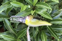 Image 9 of SPEEDBAITS Custom Airbrushed LC 1.5 DD 6974