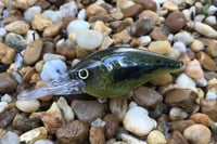 Image 6 of SPEEDBAITS Custom Airbrushed LC 1.5 DD 6974