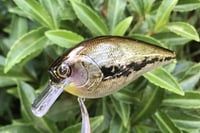 Image 9 of  SPEEDBAITS Custom Airbrushed Lucky Squarebill 2577