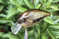 Image 11 of  SPEEDBAITS Custom Airbrushed Lucky Squarebill 2577