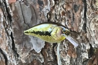 Image 14 of  SPEEDBAITS Custom Airbrushed Lucky Squarebill 2577