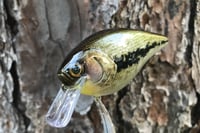 Image 20 of  SPEEDBAITS Custom Airbrushed Lucky Squarebill 2577