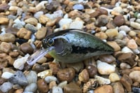 Image 7 of  SPEEDBAITS Custom Airbrushed Lucky Squarebill 2577
