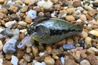 Image 1 of  SPEEDBAITS Custom Airbrushed Lucky Squarebill 2577