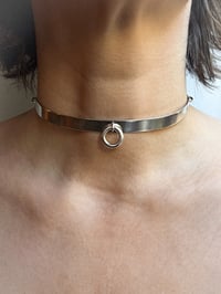 Image 1 of COLLAR 🐩