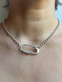 Image 3 of PALLINI + CARABINER