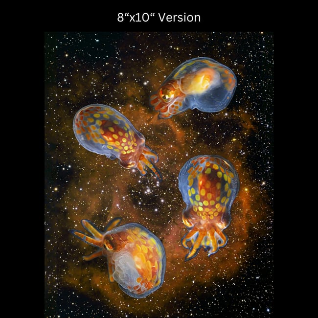 Baby Giant Pacific Octopus in Space | Art Prints & Stickers