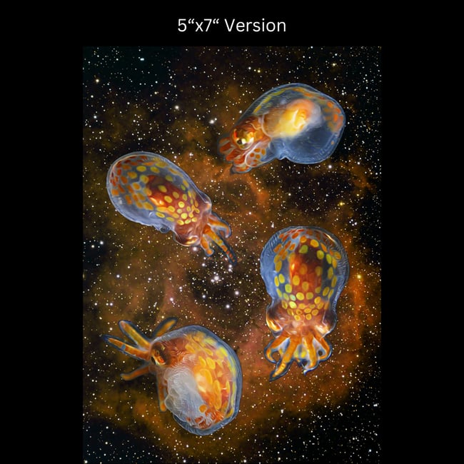 Baby Giant Pacific Octopus in Space | Art Prints & Stickers