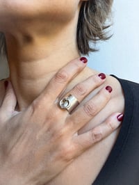 Image 3 of COLLAR  🐩