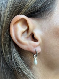 Image 1 of MINI DROPS 💧