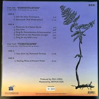 Image 2 of Demystification // Forestscapes 2LP