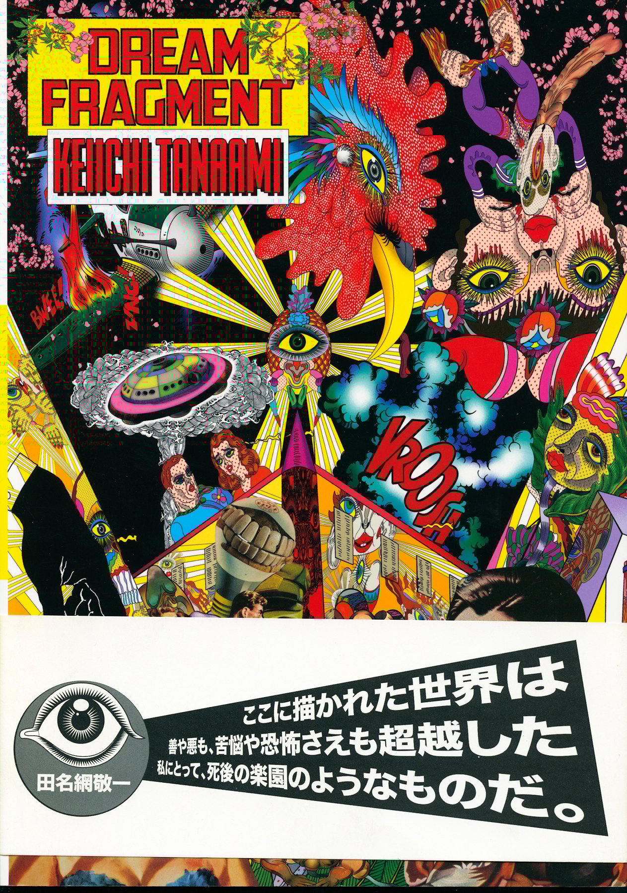 Image of Dream Fragment