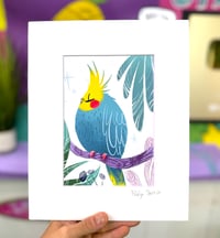 Cockatiel Perch Illustration