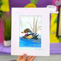 Mandarine Duck Illustration