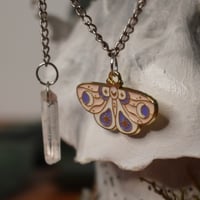 Image 3 of Champignon Décoratif