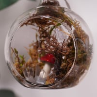 Image 3 of Sphère Féerique - Boisé Enchantée