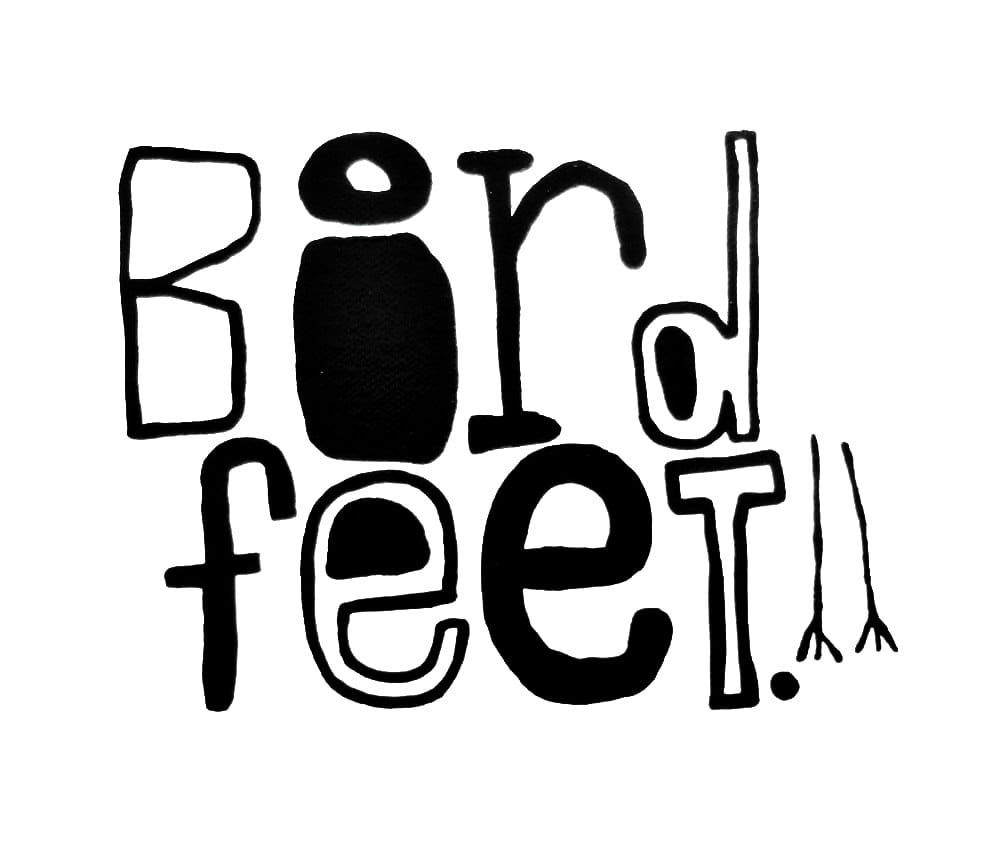 Image of BiRd fEEt. - 5" x 7" CANVAS