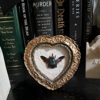  Xylocopa Caerulea Carpenter Bee - Gold Heart Frame