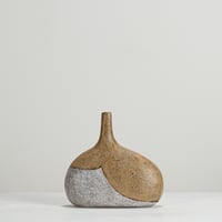 Image 2 of yani speckle