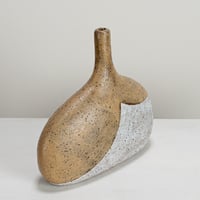 Image 3 of yani speckle