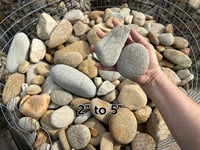 Image 1 of Small River Rock (2-5'') inch