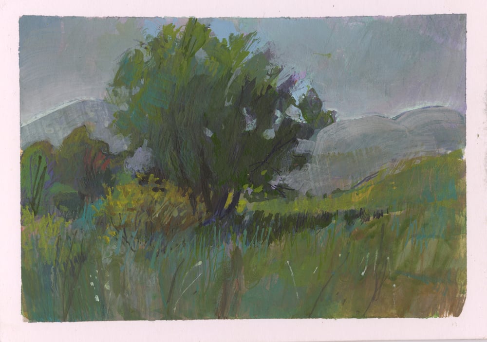 Image of Sitting in Wasatch State Park