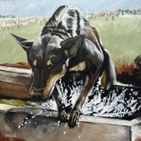 Image 1 of "A QUICK DIP"